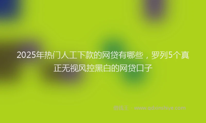2025年热门人工下款的网贷有哪些，罗列5个真正无视风控黑白的网贷口子