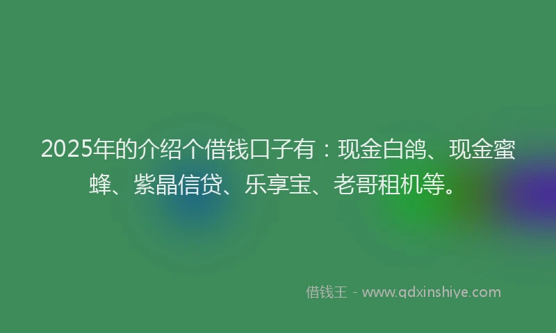 2025年的介绍个借钱口子有：现金白鸽、现金蜜蜂、紫晶信贷、乐享宝、老哥租机等。
