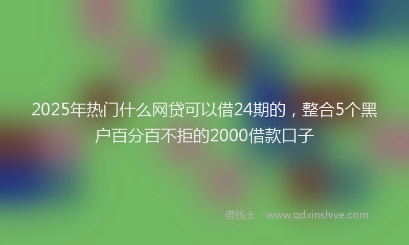 2025年热门什么网贷可以借24期的，整合5个黑户百分百不拒的2000借款口子
