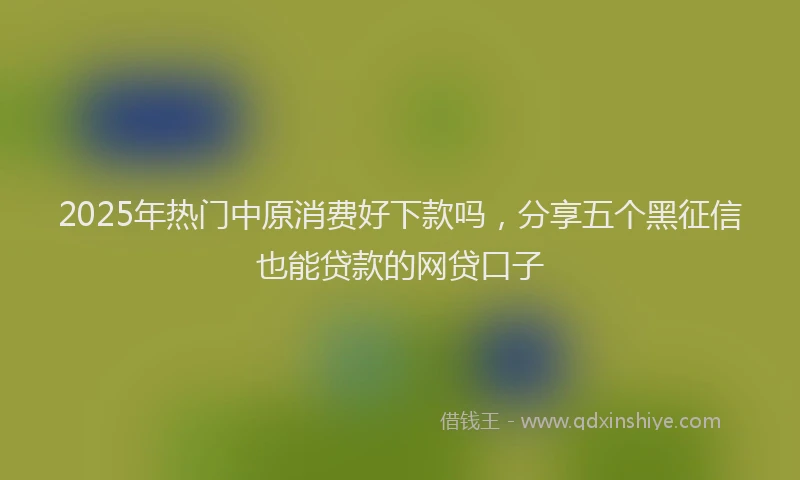2025年热门中原消费好下款吗，分享五个黑征信也能贷款的网贷口子
