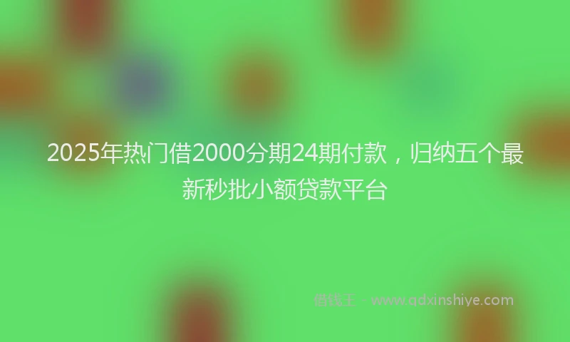 2025年热门借2000分期24期付款，归纳五个最新秒批小额贷款平台