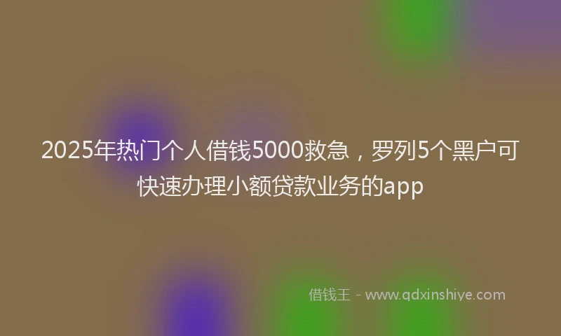2025年热门个人借钱5000救急，罗列5个黑户可快速办理小额贷款业务的app