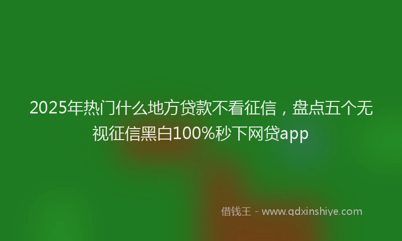 2025年热门什么地方贷款不看征信，盘点五个无视征信黑白100%秒下网贷app