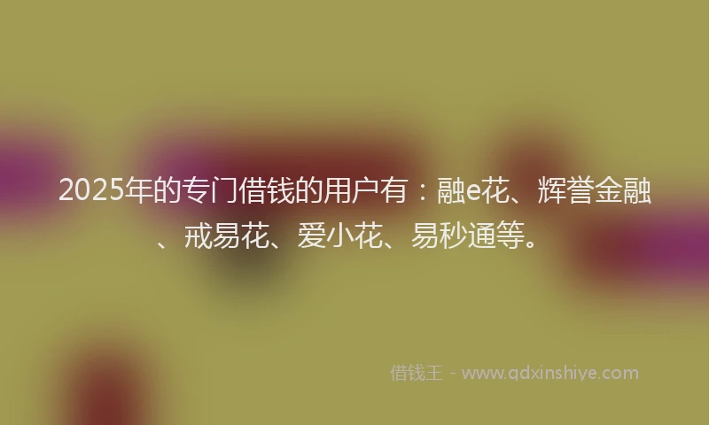 2025年的专门借钱的用户有：融e花、辉誉金融、戒易花、爱小花、易秒通等。