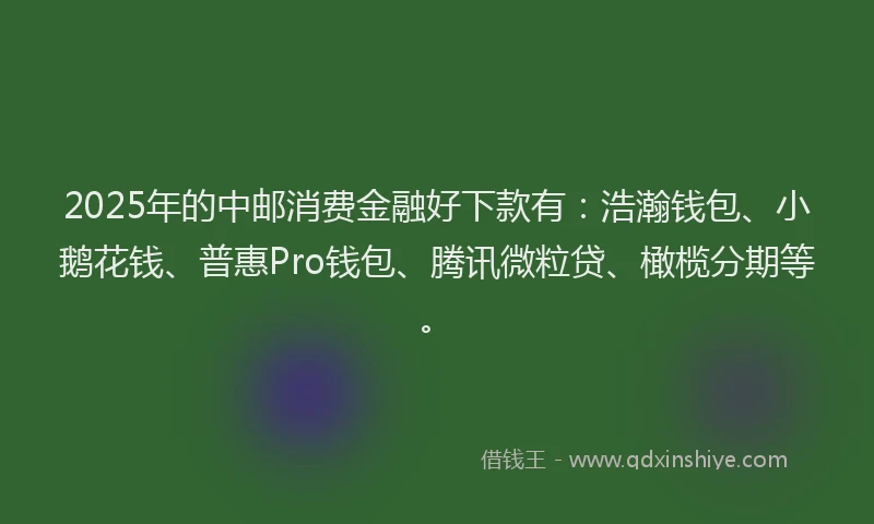 2025年的中邮消费金融好下款有：浩瀚钱包、小鹅花钱、普惠Pro钱包、腾讯微粒贷、橄榄分期等。