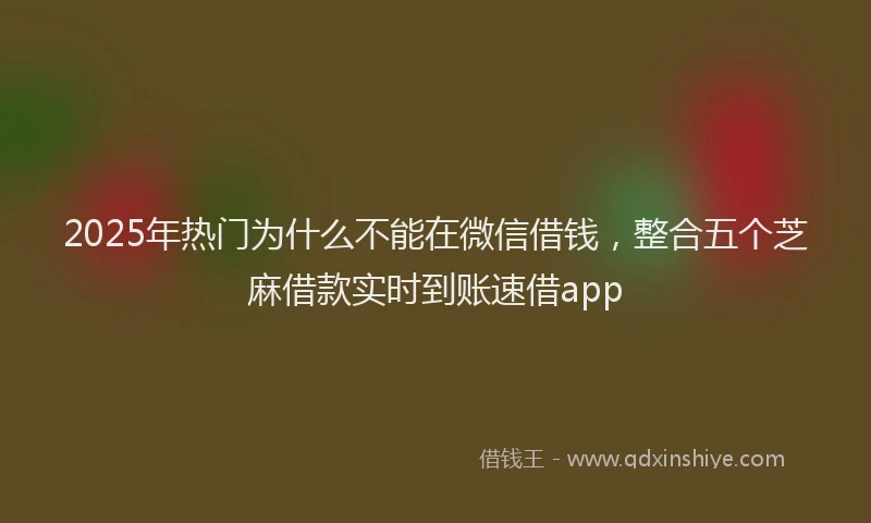 2025年热门为什么不能在微信借钱，整合五个芝麻借款实时到账速借app