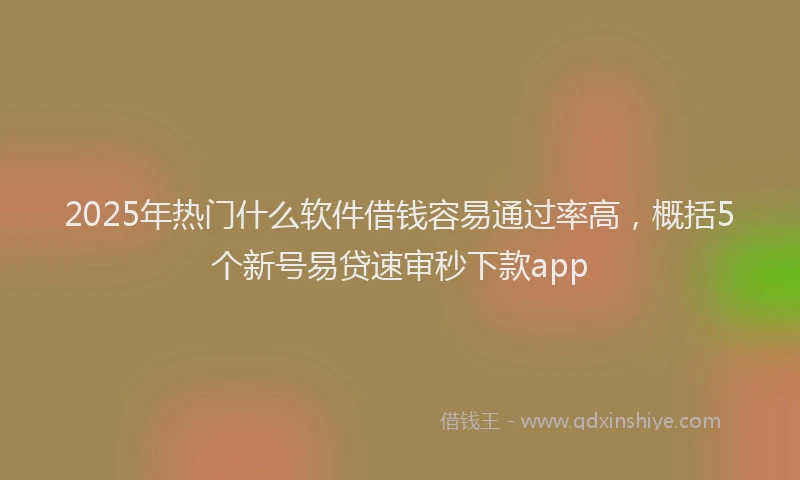 2025年热门什么软件借钱容易通过率高，概括5个新号易贷速审秒下款app