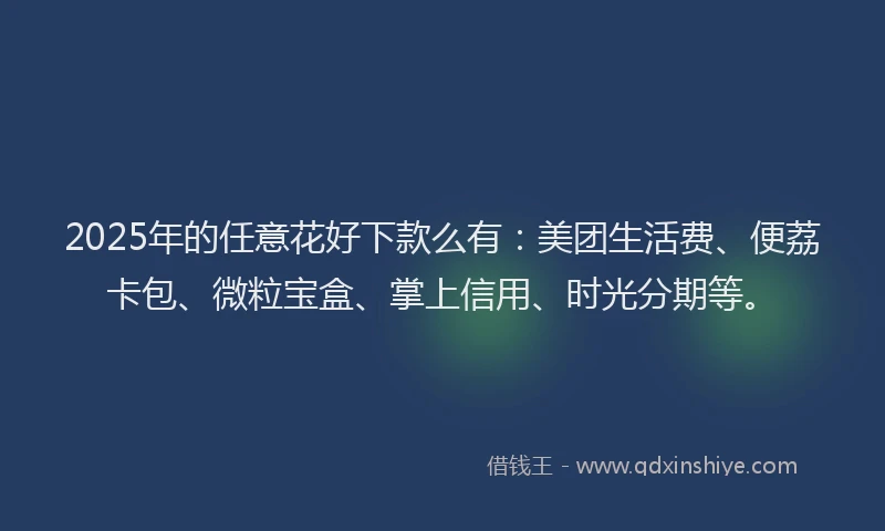2025年的任意花好下款么有：美团生活费、便荔卡包、微粒宝盒、掌上信用、时光分期等。