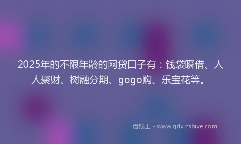 2025年的不限年龄的网贷口子有：钱袋瞬借、人人聚财、树融分期、gogo购、乐宝花等。