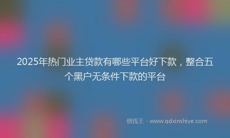 2025年热门业主贷款有哪些平台好下款，整合五个黑户无条件下款的平台