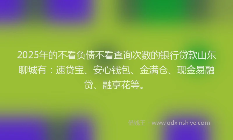 2025年的不看负债不看查询次数的银行贷款山东聊城有：速贷宝、安心钱包、金满仓、现金易融贷、融享花等。