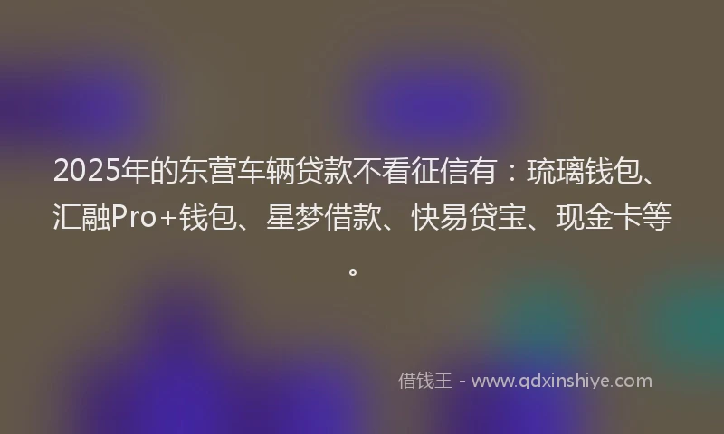 2025年的东营车辆贷款不看征信有：琉璃钱包、汇融Pro+钱包、星梦借款、快易贷宝、现金卡等。