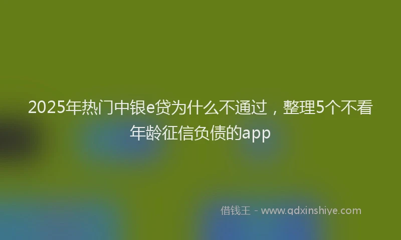 2025年热门中银e贷为什么不通过，整理5个不看年龄征信负债的app