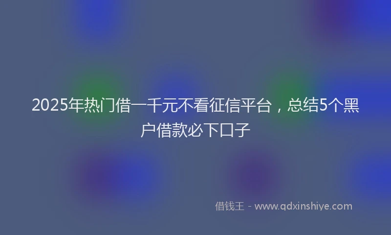 2025年热门借一千元不看征信平台，总结5个黑户借款必下口子