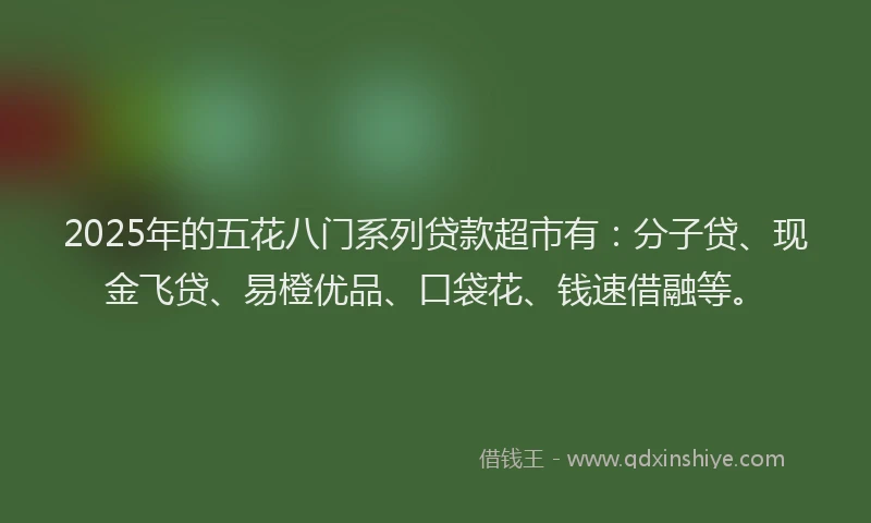 2025年的五花八门系列贷款超市有：分子贷、现金飞贷、易橙优品、口袋花、钱速借融等。