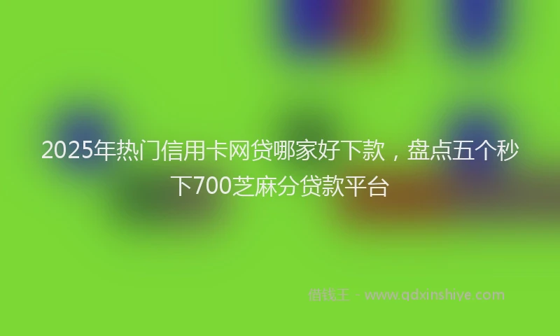 2025年热门信用卡网贷哪家好下款，盘点五个秒下700芝麻分贷款平台