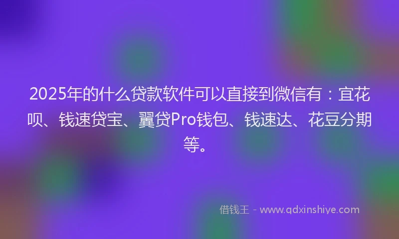 2025年的什么贷款软件可以直接到微信有：宜花呗、钱速贷宝、翼贷Pro钱包、钱速达、花豆分期等。