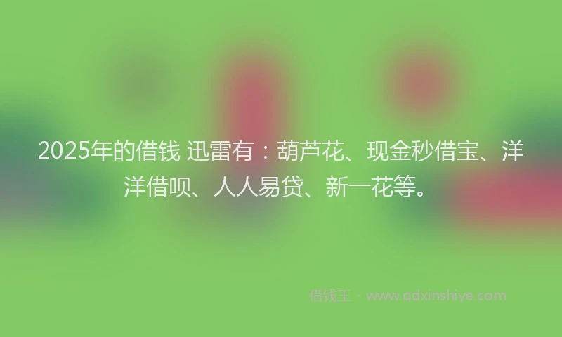 2025年的借钱 迅雷有：葫芦花、现金秒借宝、洋洋借呗、人人易贷、新一花等。