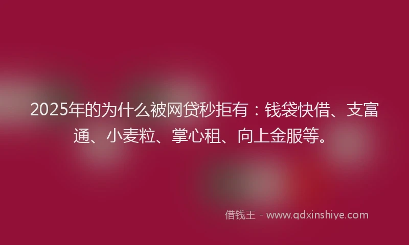 2025年的为什么被网贷秒拒有：钱袋快借、支富通、小麦粒、掌心租、向上金服等。