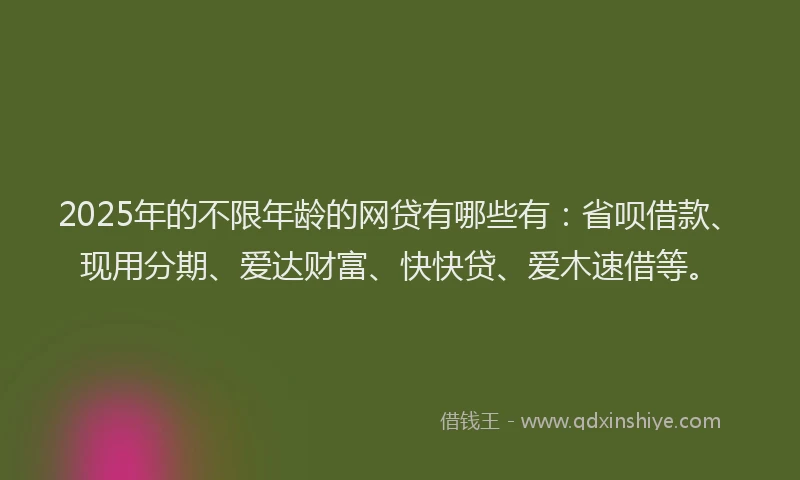 2025年的不限年龄的网贷有哪些有：省呗借款、现用分期、爱达财富、快快贷、爱木速借等。