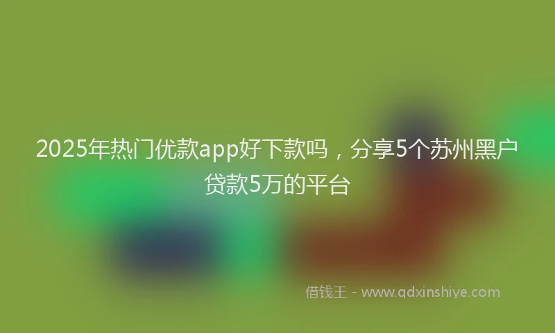 2025年热门优款app好下款吗，分享5个苏州黑户贷款5万的平台