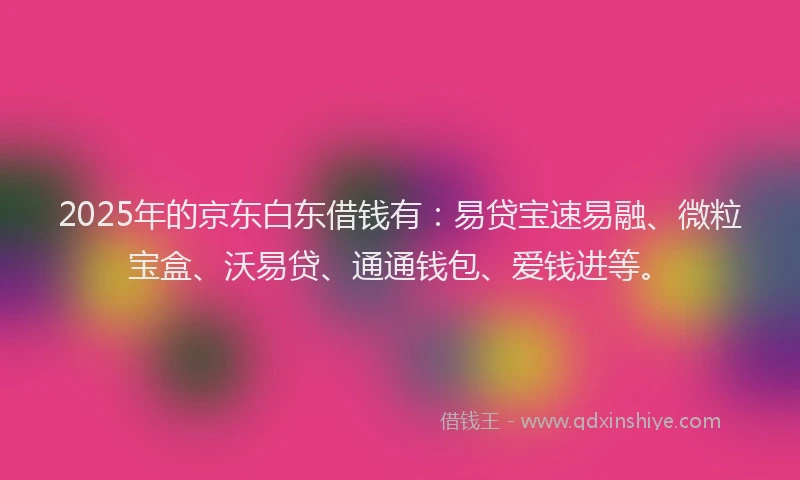 2025年的京东白东借钱有：易贷宝速易融、微粒宝盒、沃易贷、通通钱包、爱钱进等。