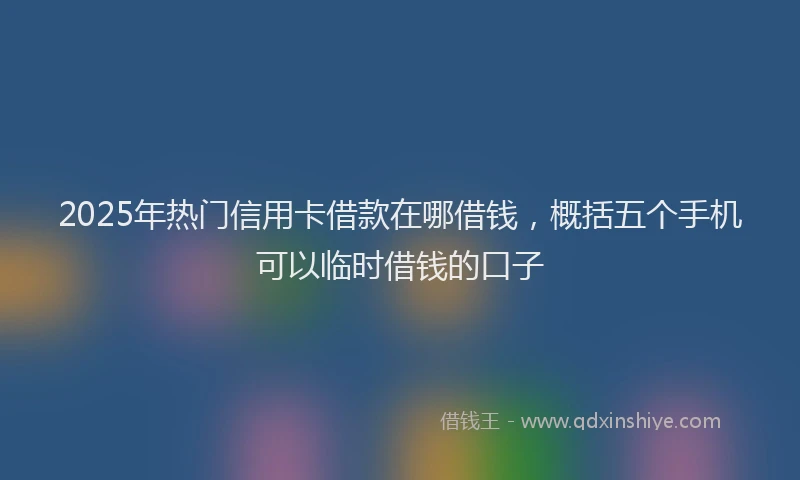 2025年热门信用卡借款在哪借钱，概括五个手机可以临时借钱的口子