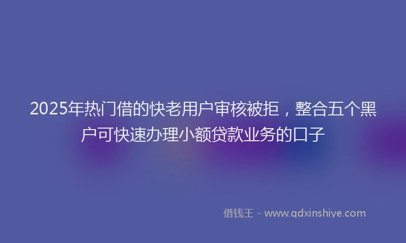2025年热门借的快老用户审核被拒，整合五个黑户可快速办理小额贷款业务的口子