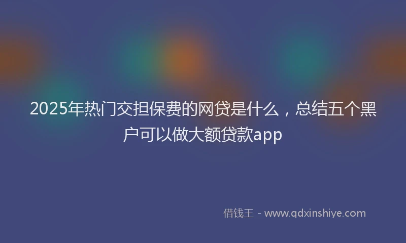 2025年热门交担保费的网贷是什么，总结五个黑户可以做大额贷款app
