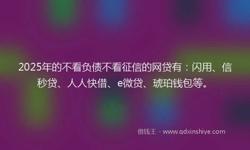 2025年的不看负债不看征信的网贷有：闪用、信秒贷、人人快借、e微贷、琥珀钱包等。
