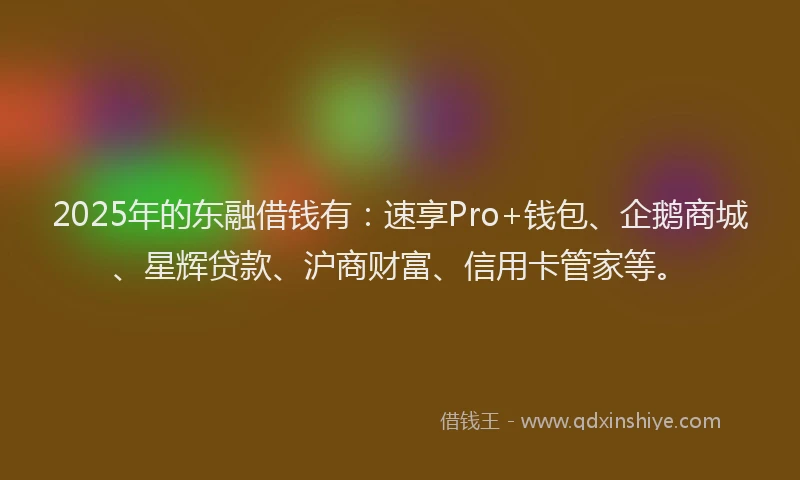 2025年的东融借钱有：速享Pro+钱包、企鹅商城、星辉贷款、沪商财富、信用卡管家等。