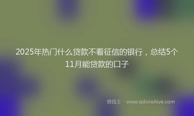 2025年热门什么贷款不看征信的银行，总结5个11月能贷款的口子