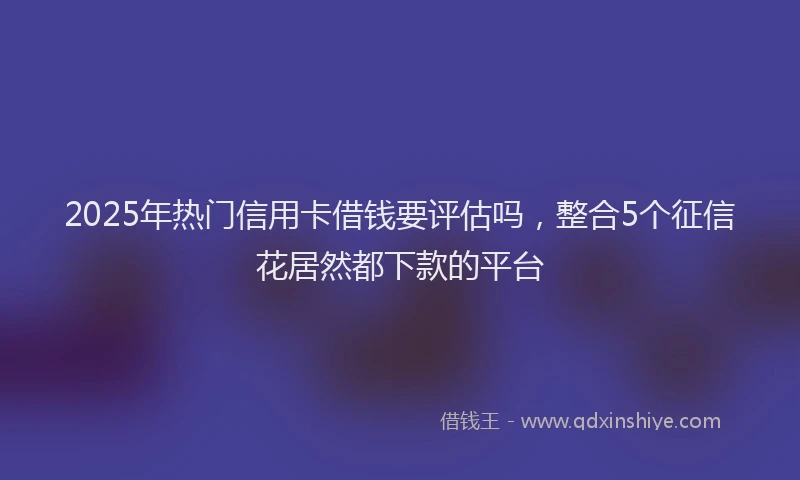 2025年热门信用卡借钱要评估吗，整合5个征信花居然都下款的平台