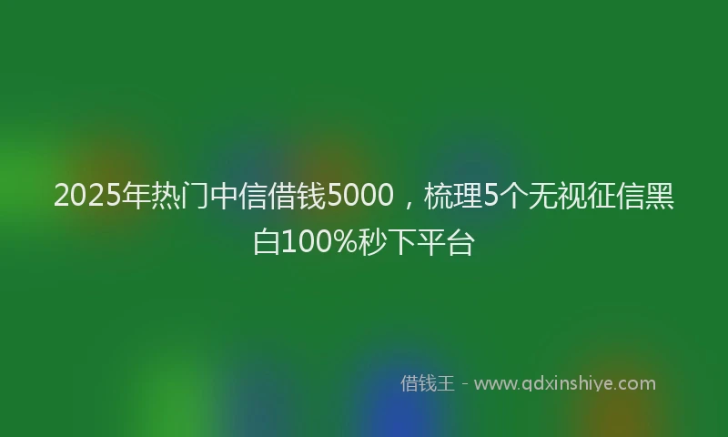 2025年热门中信借钱5000，梳理5个无视征信黑白100%秒下平台