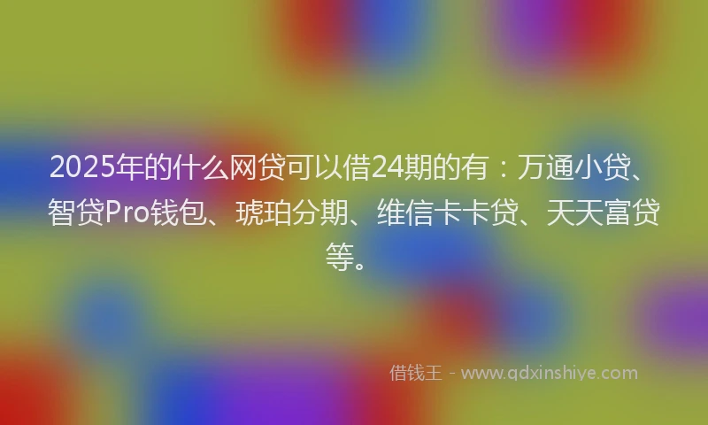 2025年的什么网贷可以借24期的有：万通小贷、智贷Pro钱包、琥珀分期、维信卡卡贷、天天富贷等。