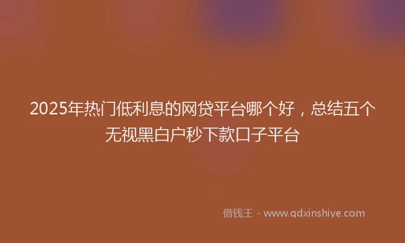 2025年热门低利息的网贷平台哪个好，总结五个无视黑白户秒下款口子平台