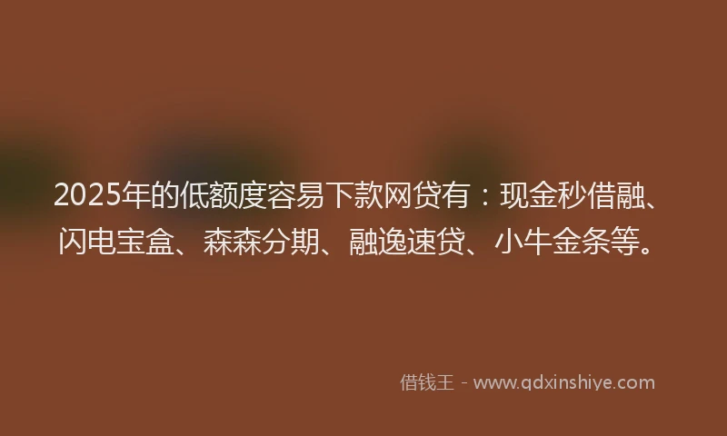 2025年的低额度容易下款网贷有：现金秒借融、闪电宝盒、森森分期、融逸速贷、小牛金条等。