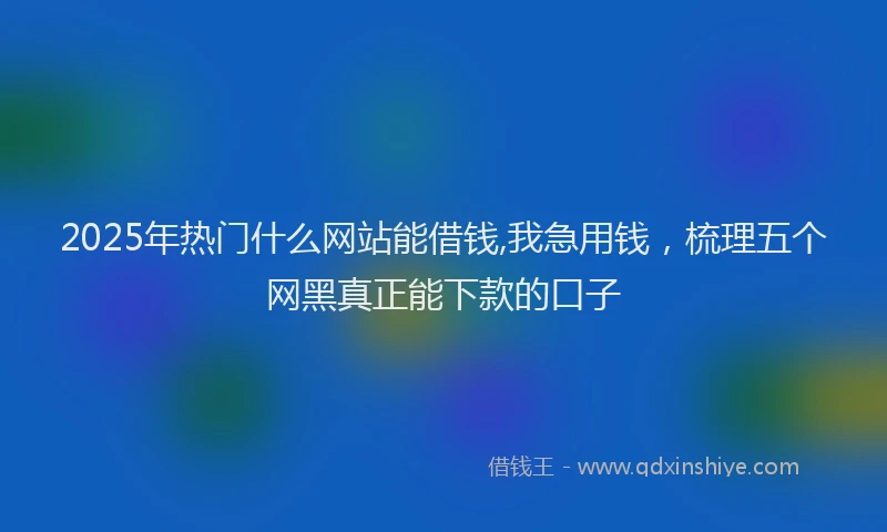 2025年热门什么网站能借钱,我急用钱，梳理五个网黑真正能下款的口子