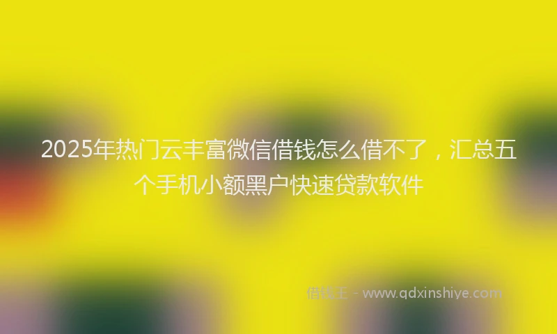 2025年热门云丰富微信借钱怎么借不了，汇总五个手机小额黑户快速贷款软件