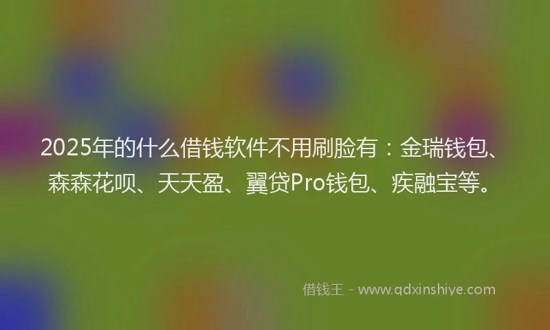 2025年的什么借钱软件不用刷脸有：金瑞钱包、森森花呗、天天盈、翼贷Pro钱包、疾融宝等。