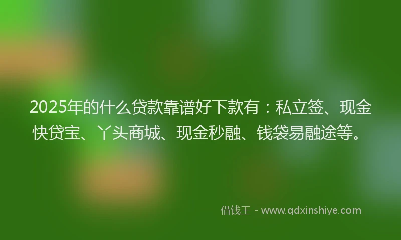 2025年的什么贷款靠谱好下款有：私立签、现金快贷宝、丫头商城、现金秒融、钱袋易融途等。