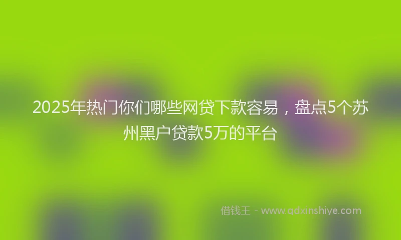 2025年热门你们哪些网贷下款容易，盘点5个苏州黑户贷款5万的平台