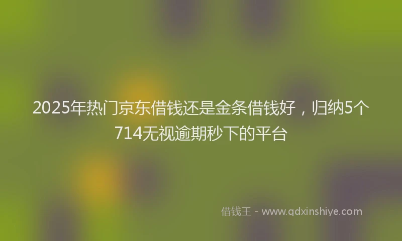 2025年热门京东借钱还是金条借钱好，归纳5个714无视逾期秒下的平台