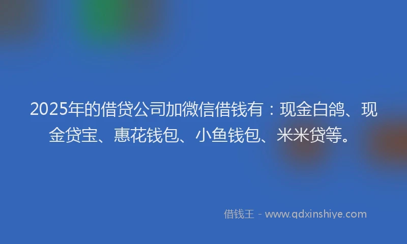 2025年的借贷公司加微信借钱有：现金白鸽、现金贷宝、惠花钱包、小鱼钱包、米米贷等。