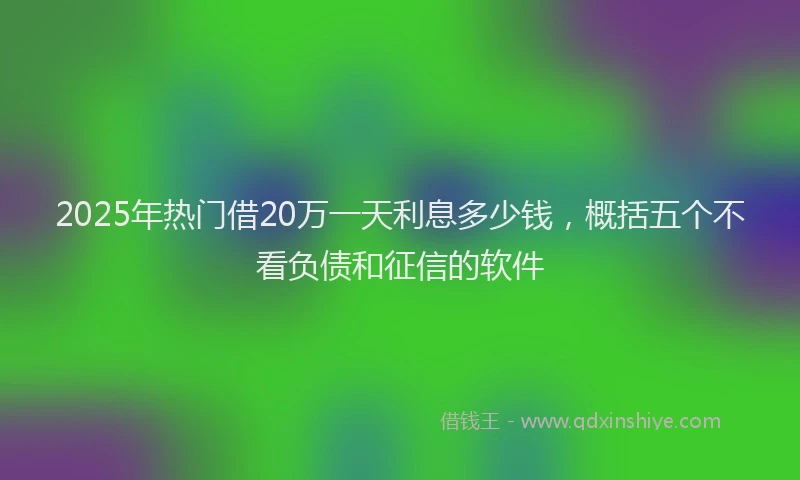 2025年热门借20万一天利息多少钱，概括五个不看负债和征信的软件