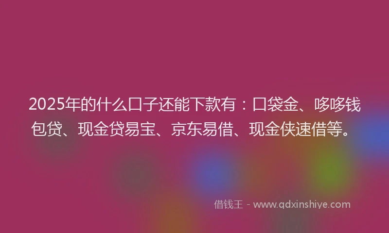 2025年的什么口子还能下款有：口袋金、哆哆钱包贷、现金贷易宝、京东易借、现金侠速借等。