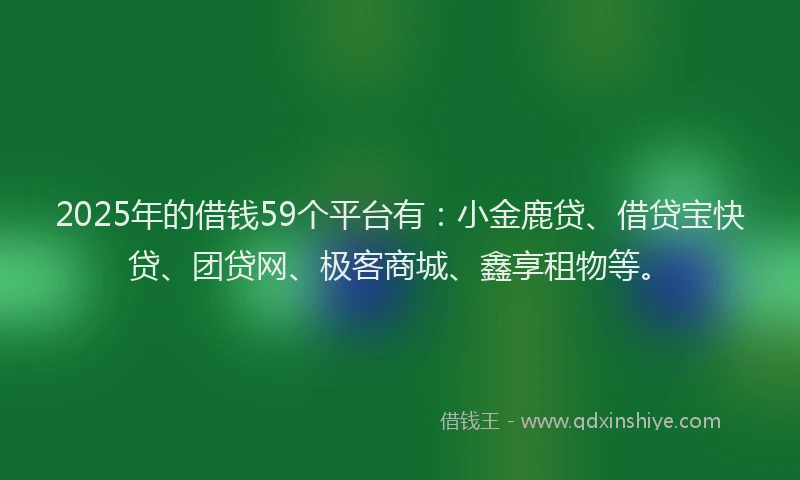 2025年的借钱59个平台有：小金鹿贷、借贷宝快贷、团贷网、极客商城、鑫享租物等。