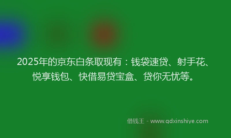 2025年的京东白条取现有：钱袋速贷、射手花、悦享钱包、快借易贷宝盒、贷你无忧等。