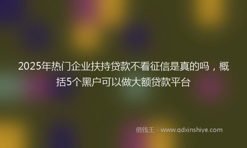 2025年热门企业扶持贷款不看征信是真的吗，概括5个黑户可以做大额贷款平台