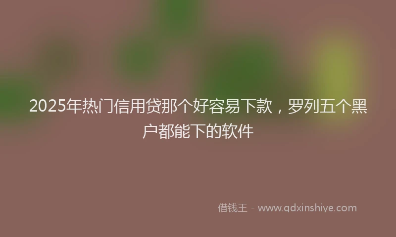 2025年热门信用贷那个好容易下款，罗列五个黑户都能下的软件
